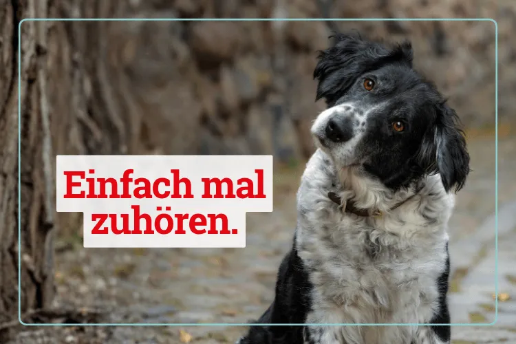 289 Rückmeldungen, die unsere Dienstplan-Software besser machen